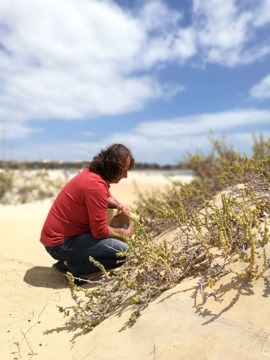 rene rebmann ueber mich